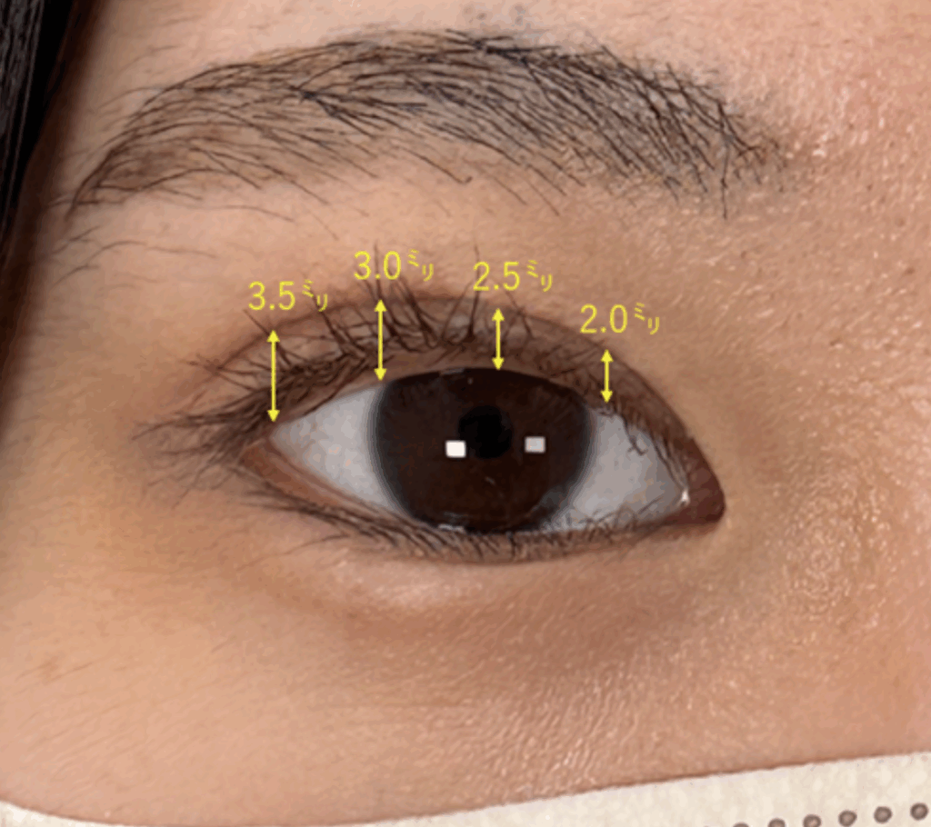 二重幅のミリ数①