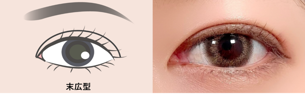 二重幅が平行の末広型二重